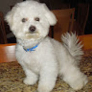 Meet your Posher, Ian